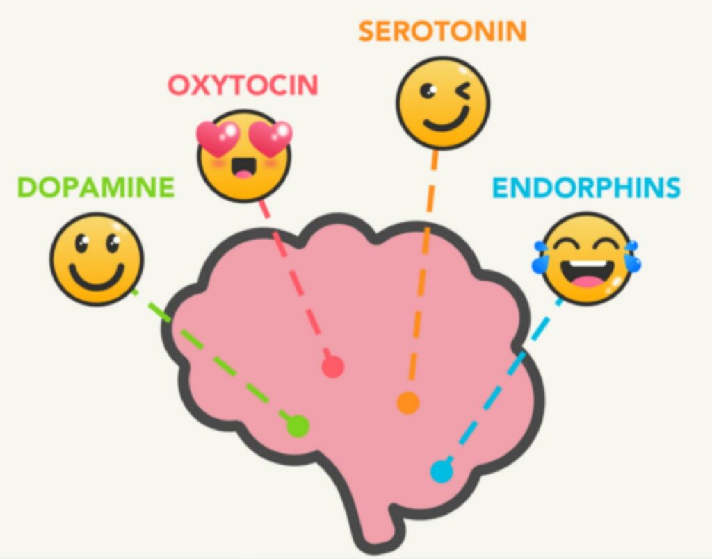 Dopamine, Oxytocin, Serotonin and Endorphins animated picture